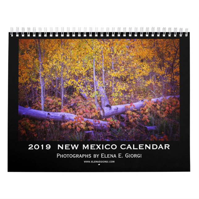 2019 nytt - mexico kalender (Omslag)
