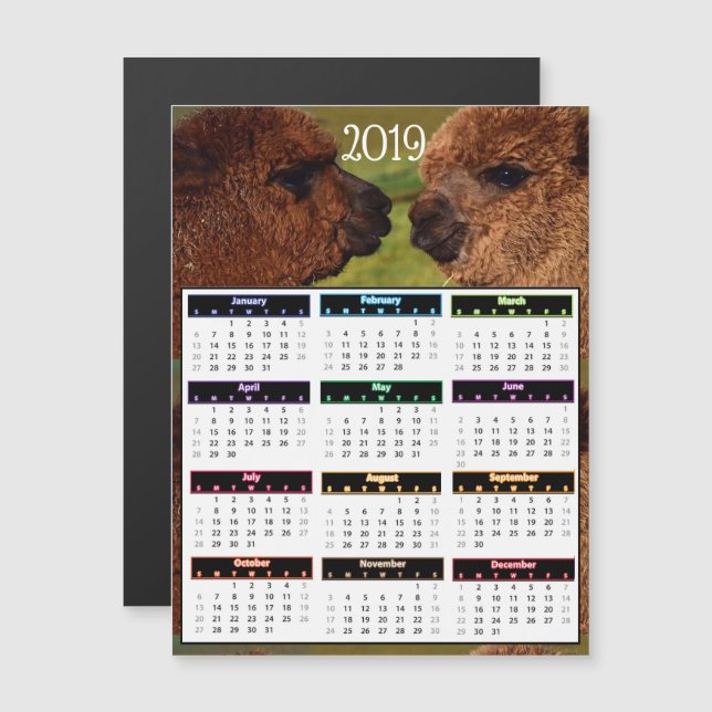 2019 roliga Alpacaskortkortkalender Magnetisk Inbjudningskort (Fram/baksida)