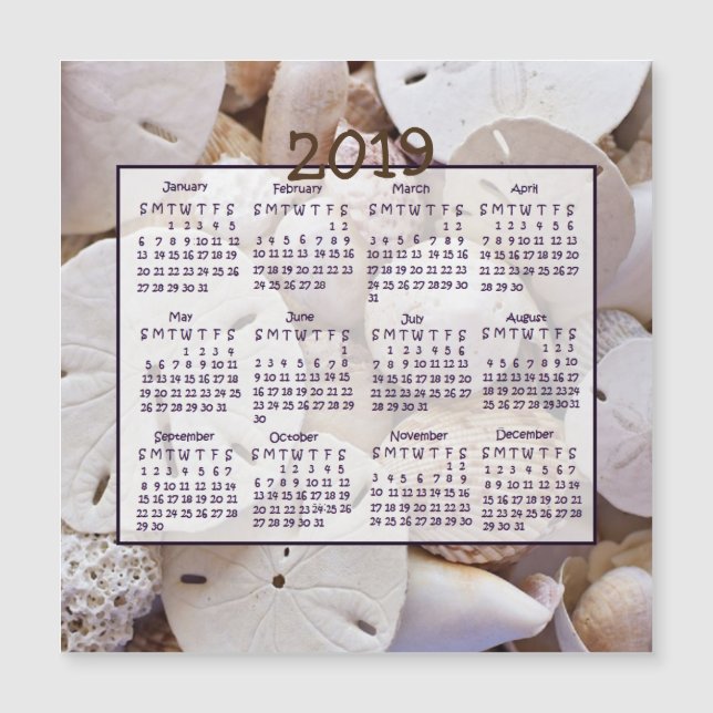 2019 Snäcka Sand Dollar Mini Magnet Calendars (Framsida)