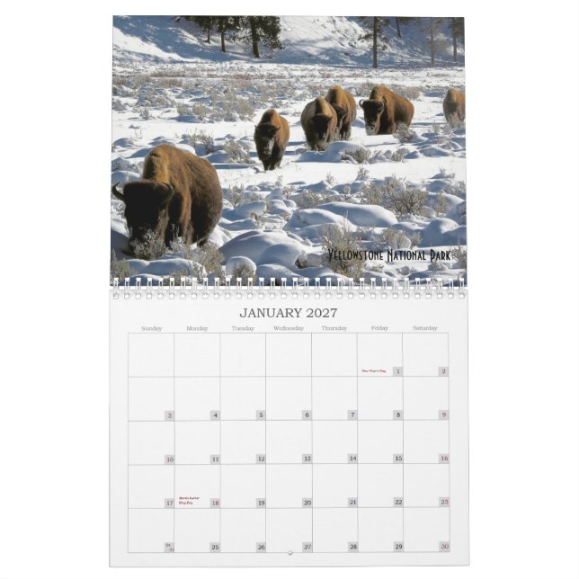 2019 US Public Lands Wildlife Calendar Kalender (Jan 2027)