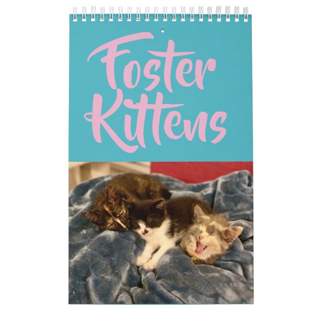 2019 vårda kattungekalendern kalender (Omslag)