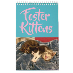 2019 vårda kattungekalendern kalender