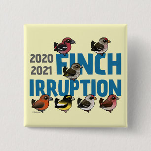 2020-2021 Finch Irruption Knapp