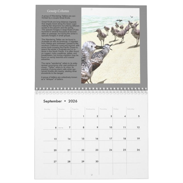 2020 3D Digital Art Nature Kalender (Sep 2026)