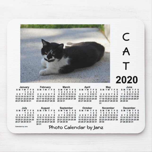 2020 års Sassy Cat Photo Calendar av Janz Musmatta (Framsidan)