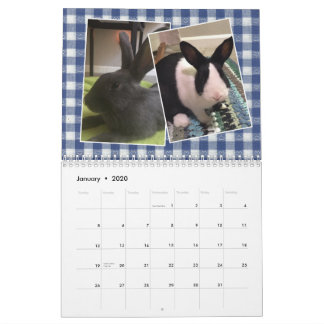2020 Bunny Rädding och utbildning Kalender