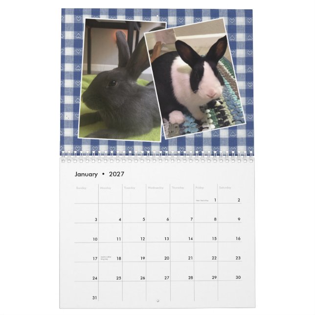 2020 Bunny Rädding och utbildning Kalender (Jan 2027)