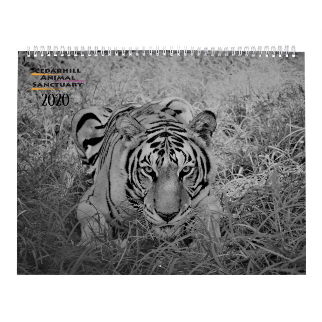 2020 Cedarhill Kalender (Omslag)