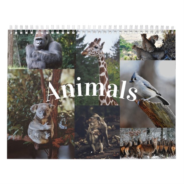 2020 Djurkalender för hemmabruk/kontorsmur Kalender (Omslag)