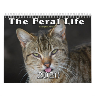 2020 Feral Cats Calendar, The Feral Life Kalender