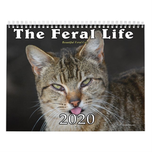 2020 Feral Cats Calendar, The Feral Life Kalender (Omslag)
