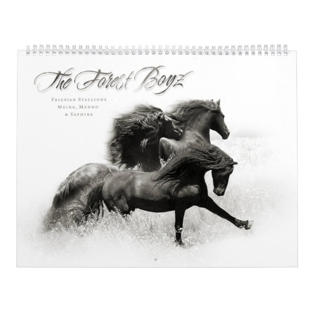 2020 Forest Boyz Kalender (Omslag)