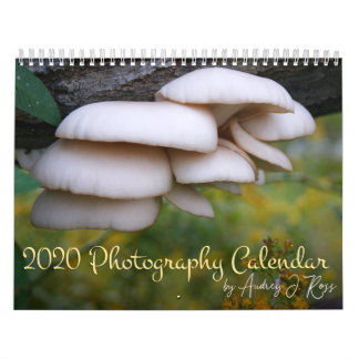 2020 Fotografikalender Kalender