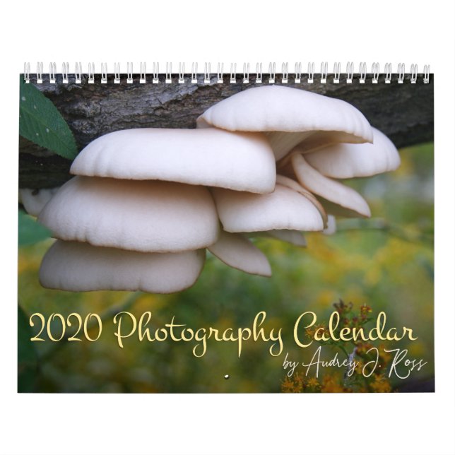 2020 Fotografikalender Kalender (Omslag)