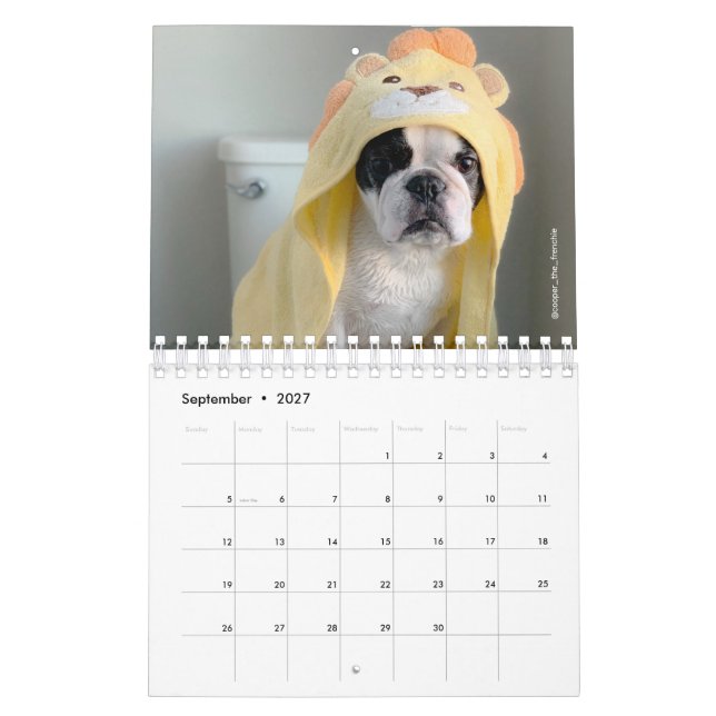 2020 Fransk Bulldog Calendar - Cooper the Frenchie Kalender (Sep 2027)