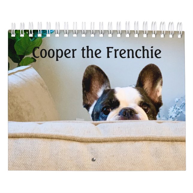 2020 Fransk Bulldog Calendar - Cooper the Frenchie Kalender (Omslag)