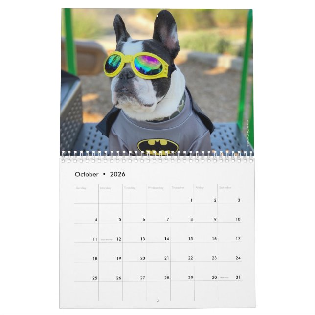 2020-Franskens bulldog kalender för Hundälskare! (Oct 2026)