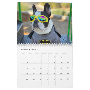 2020-Franskens bulldog kalender för Hundälskare!