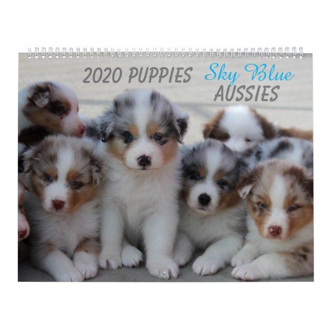 2020 Himlar Blue Aussies Kalender (Omslag)