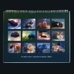 2020 Kalender - Allt om katter!<br><div class="desc">Kalender för 2020 med 12 originalkonstverk per apofiss.</div>