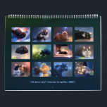 2020 Kalender - Allt om katter!<br><div class="desc">Kalender för 2020 med 12 originalkonstverk per apofiss.</div>