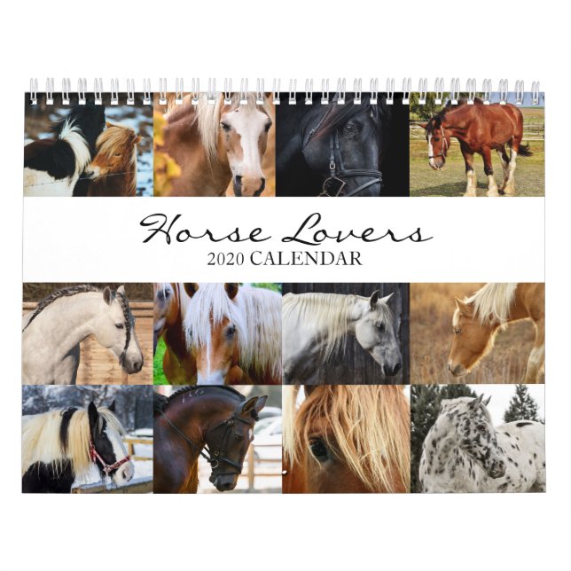 2020 Kalender för Horse Lovers - djurkontoret (Omslag)