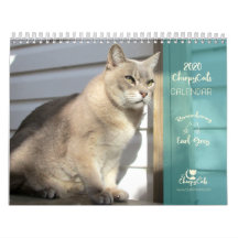 2020 Kat Calendar (kalender för skaldjur)