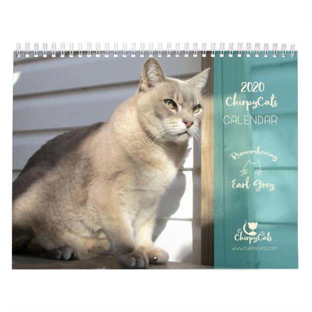 2020 Kat Calendar (kalender för skaldjur) Kalender (Omslag)