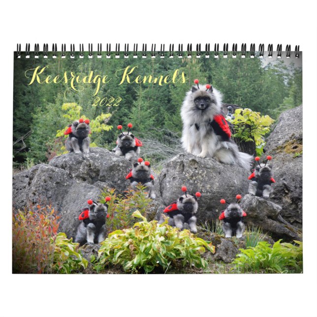 2020 Keesridge Kennels-kalender Kalender (Omslag)
