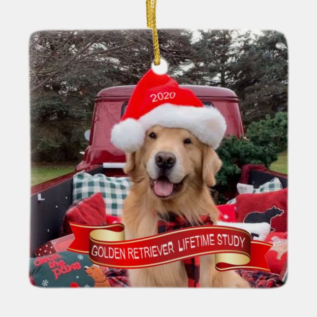 2020 Kvadratisk prydnadsföremål Julgransprydnad Keramik (Framsida)