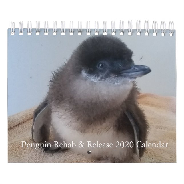 2020 Liten Penguinkalender Kalender (Omslag)