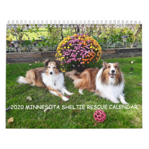 2020 MINNESOTA SHELTIE RÄDDING CALENDAR KALENDER