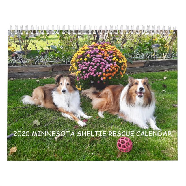 2020 MINNESOTA SHELTIE RÄDDING CALENDAR KALENDER (Omslag)