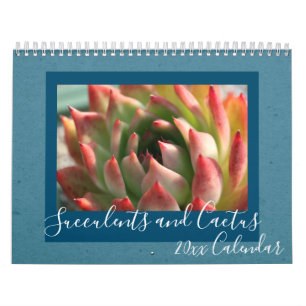 2020 Modern Script Succulents and Cactus Kalender