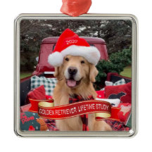 2020 Pewter GRLS Ornament
