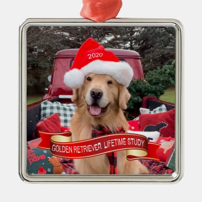 2020 Pewter Square Ornament (Framsidan)