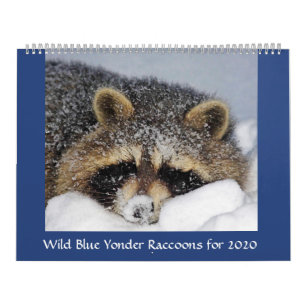 2020: Raccoon Calendar från Vild Blue Yonder . Kalender