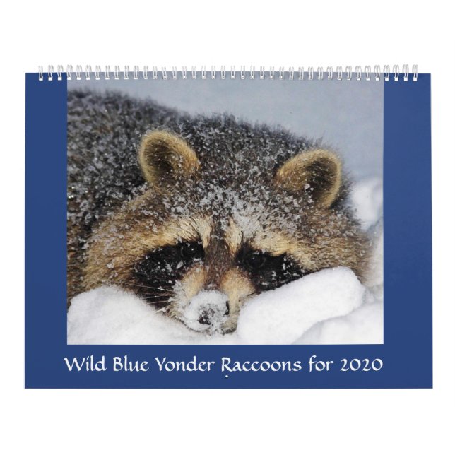 2020: Raccoon Calendar från Vild Blue Yonder . Kalender (Omslag)