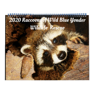 2020 Rasioner av Vild Blue Yonder Wildlife Rädding Kalender