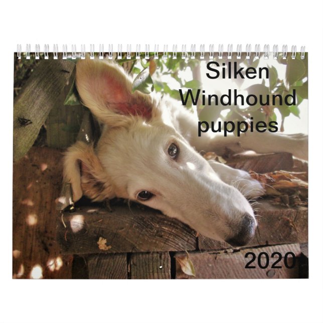 2020 Silken Windhound Puppies Kalender (Omslag)