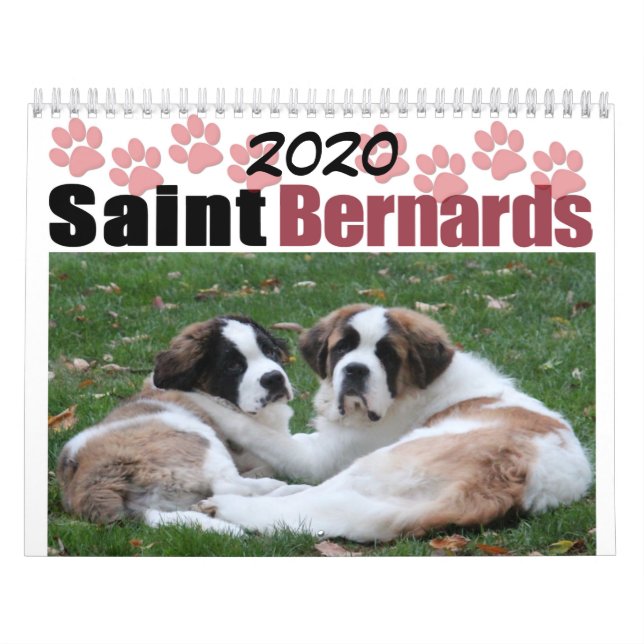2020 Söt Saint Bernard Valp Hundras Kalender (Omslag)
