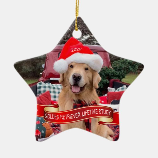 2020-stjärnigt prydnadsämne julgransprydnad keramik (Framsidan)