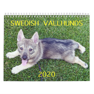 2020 SVENSKA VALLHUND CALLENDAR KALENDER
