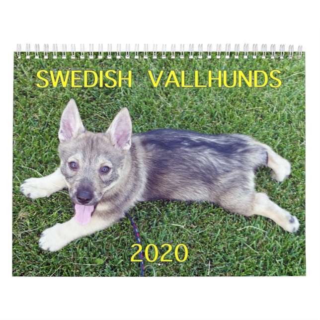 2020 SVENSKA VALLHUND CALLENDAR KALENDER (Omslag)