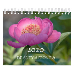 2020 Uppdelning efter bonit Kalender