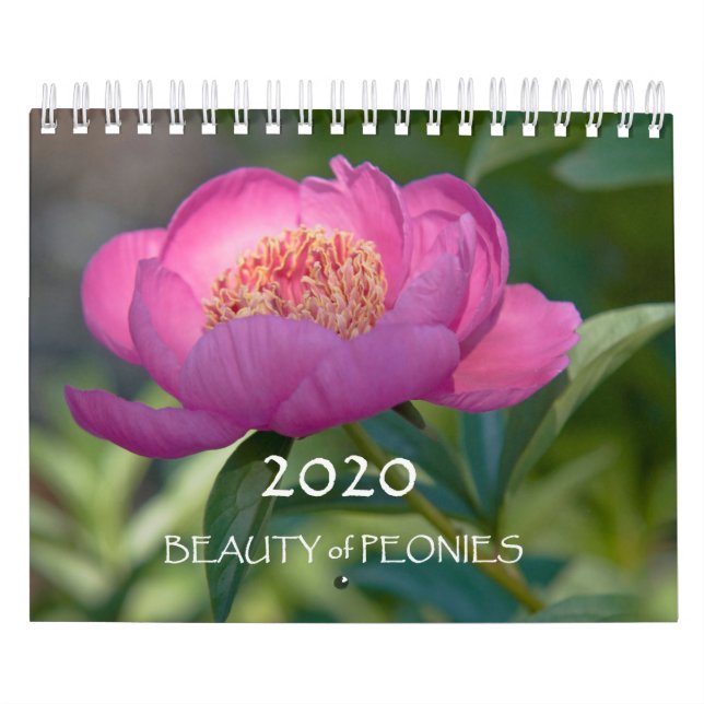 2020 Uppdelning efter bonit Kalender (Omslag)