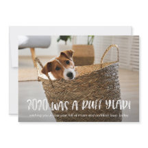 2020 var en jultomte från Hund