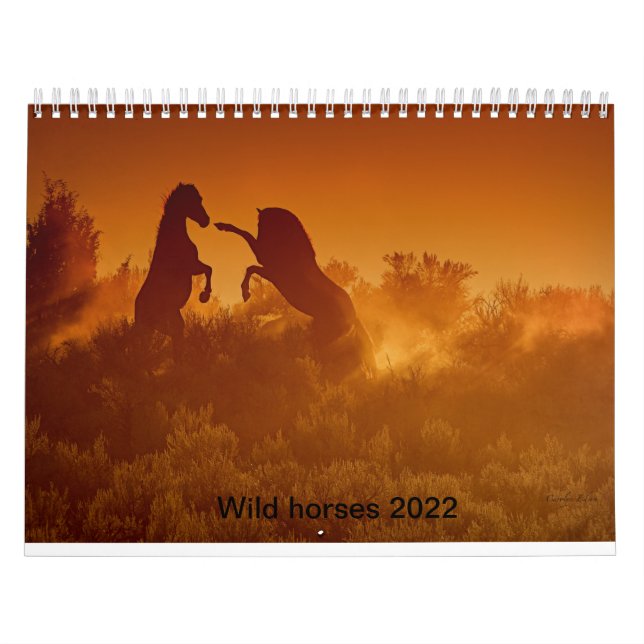 2020 vild mustang calander Kalander Kalender (Omslag)