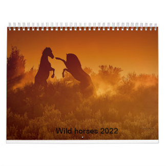 2020 vild mustang calander Kalander Kalender