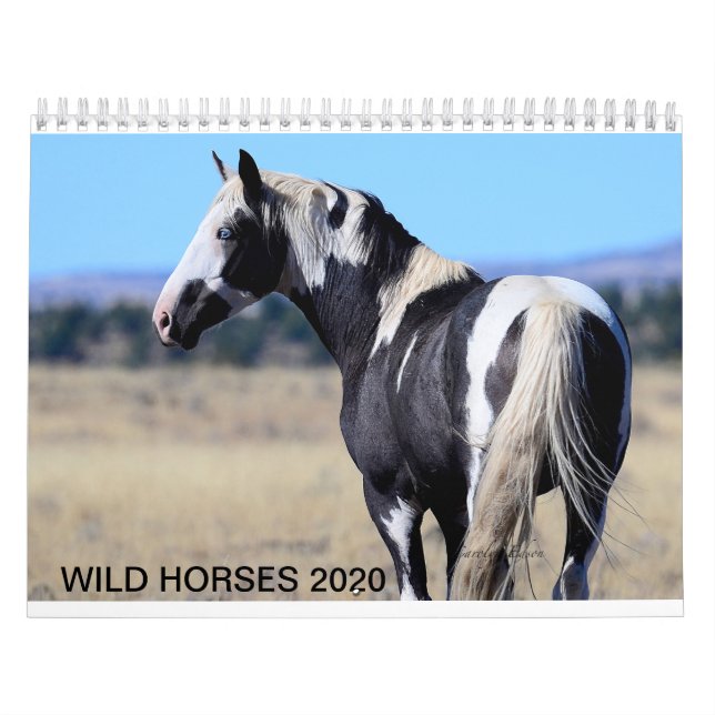 2020 vild mustang calander kalender (Omslag)